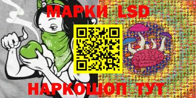индика Коммунар